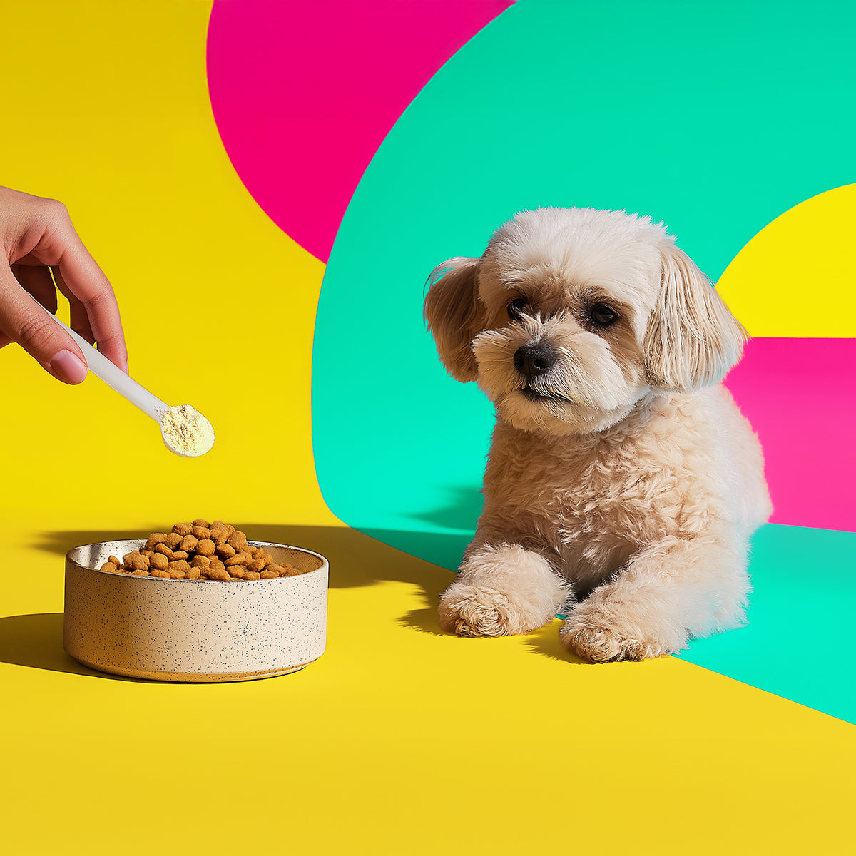 Gutsy Pup | Clinical-Grade Colostrum for Dogs (45% IgG Max Potency)