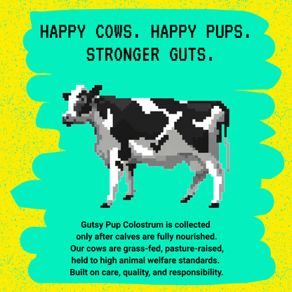 Gutsy Pup | Clinical-Grade Colostrum for Dogs (45% IgG Max Potency)
